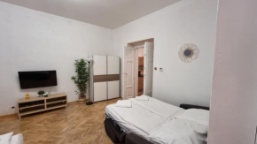 Apartment Krakovska 20